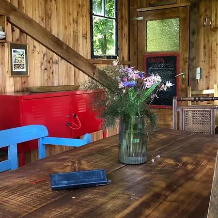 Wilde Möhre Bauwagen Sommerküche Draussen Abenteuer