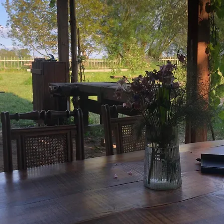 Ferienhaus Wilde Möhre Bauwagen Sommerküche Draussen Abenteuer