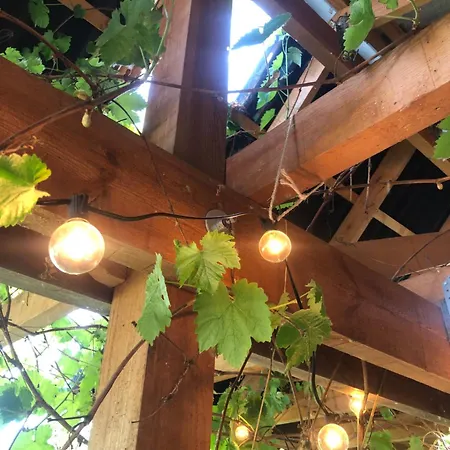 Wilde Möhre Bauwagen Sommerküche Draussen Abenteuer Ferienhaus *