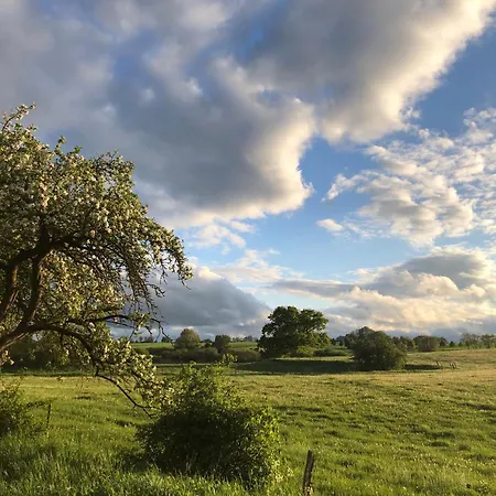 Wilde Möhre Bauwagen Sommerküche Draussen Abenteuer Ferienhaus