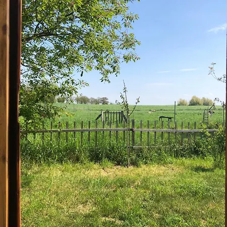 Wilde Möhre Bauwagen Sommerküche Draussen Abenteuer Ferienhaus