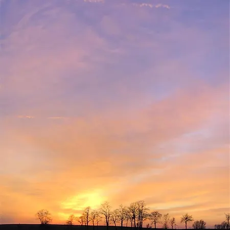 Wilde Möhre Bauwagen Sommerküche Draussen Abenteuer *