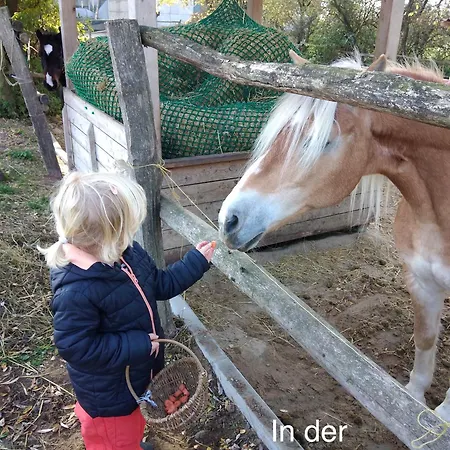 Ferienhaus Wilde Möhre Bauwagen Sommerküche Draussen Abenteuer