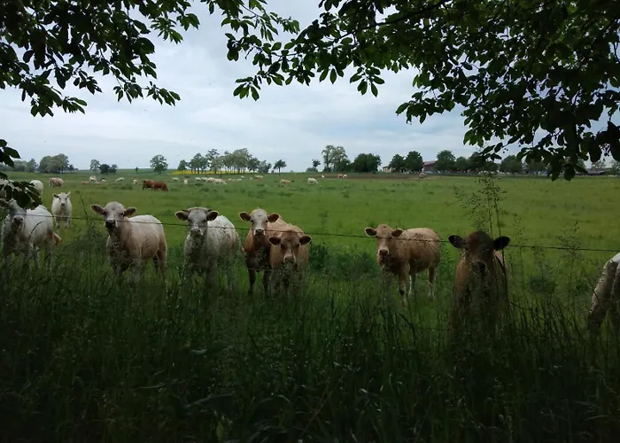 Wilde Möhre Bauwagen Sommerküche Draussen Abenteuer Ferienhaus *