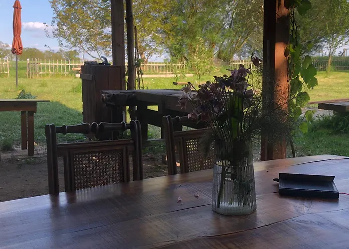 Ferienhaus Wilde Möhre Bauwagen Sommerküche Draussen Abenteuer