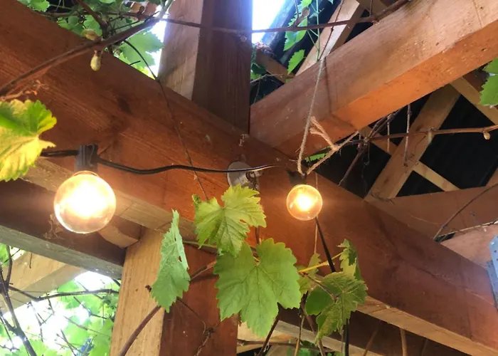 Wilde Möhre Bauwagen Sommerküche Draussen Abenteuer Ferienhaus *