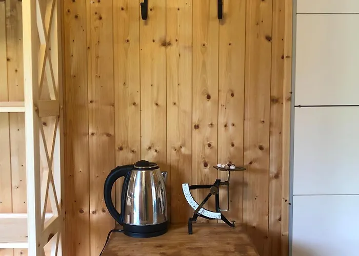 Wilde Möhre Bauwagen Sommerküche Draussen Abenteuer