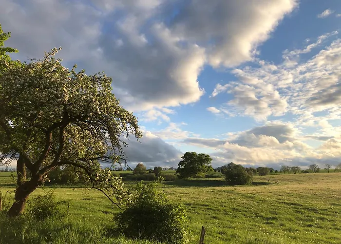 Wilde Möhre Bauwagen Sommerküche Draussen Abenteuer Ferienhaus