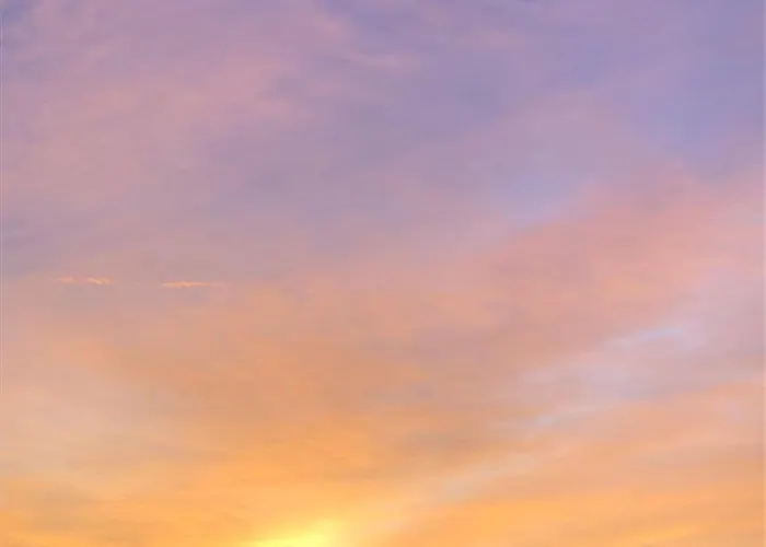 Wilde Moehre Bauwagen Sommerkueche Draussen Abenteuer *