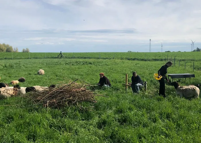 Wilde Moehre Bauwagen Sommerkueche Draussen Abenteuer Prázdninový dům *