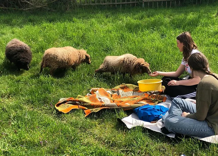 Wilde Möhre Bauwagen Sommerküche Draussen Abenteuer