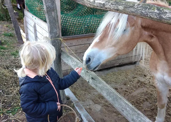 Prázdninový dům Wilde Moehre Bauwagen Sommerkueche Draussen Abenteuer